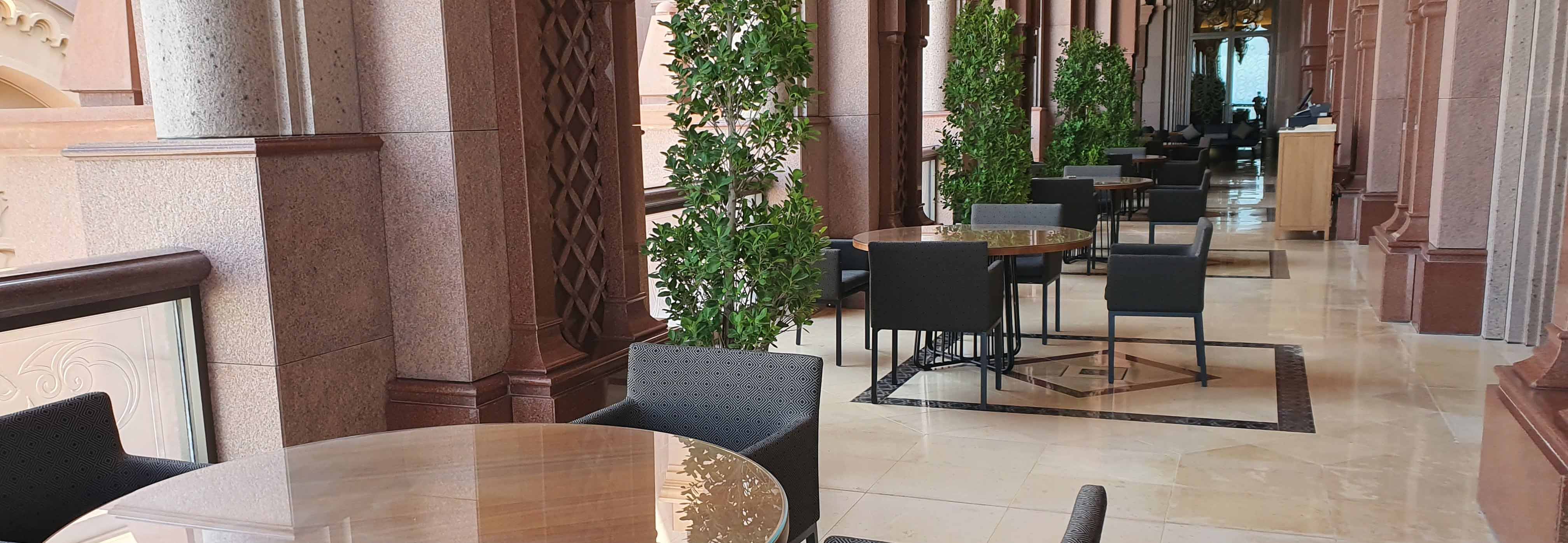 Terrace Dining banner.jpg